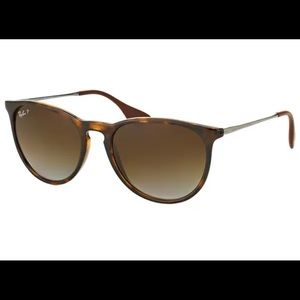 Ray-Ban Erika Sunglasses